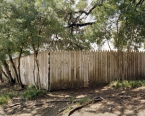 Fence on the grassy knoll. Photo by Joshua Dudley Greer