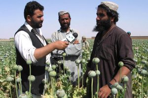 VOA reporter interviewing Afghan poppy cultivators. Photo credit:  VOA / Wikimedia