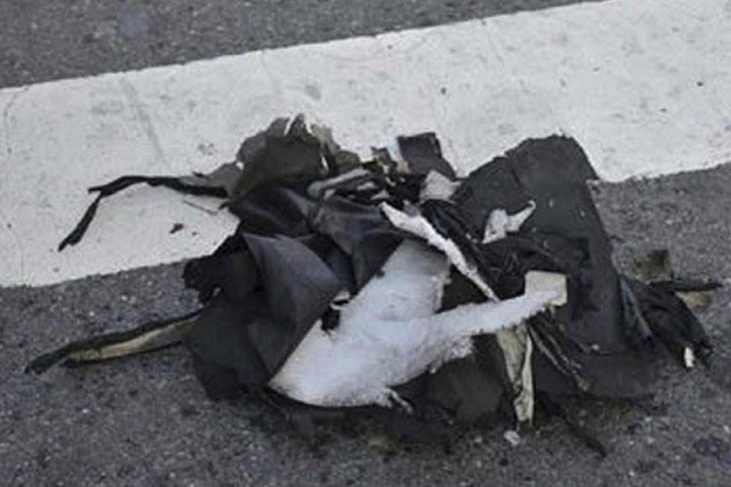 Boston Bombing Shredded Backpack