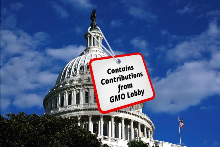 GMO, US Congress