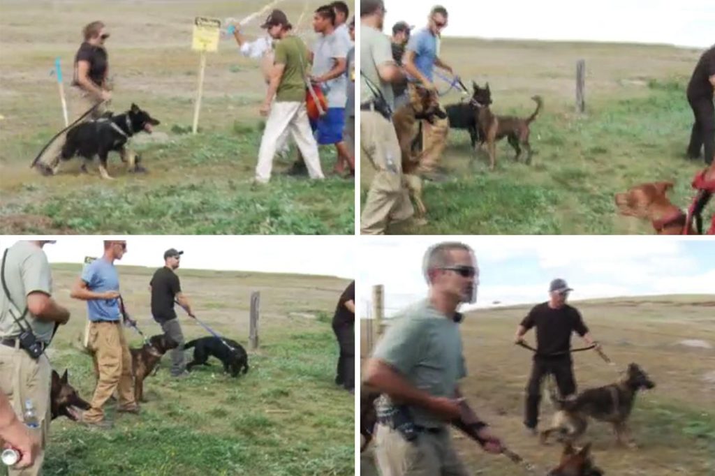 Guards with attack dogs at pipeline protest. Photo credit: Adapted by WhoWhatWhy from Democracy Now 