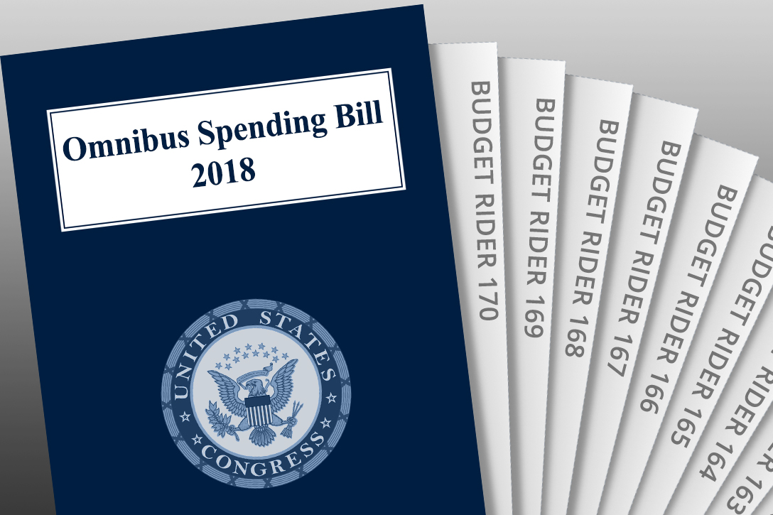 US Budget, Budget Riders