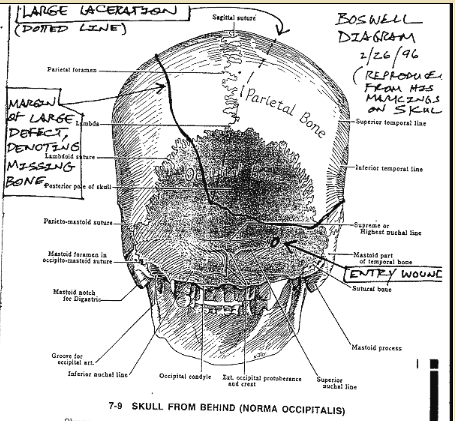 Boswell, skull diagram