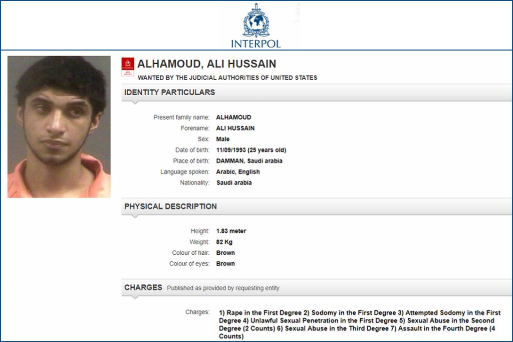Ali Hussain Alhamoud, Interpol