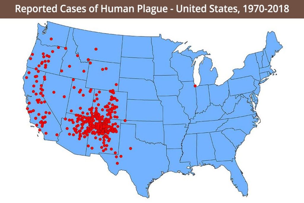 US, Bubonic plague, map