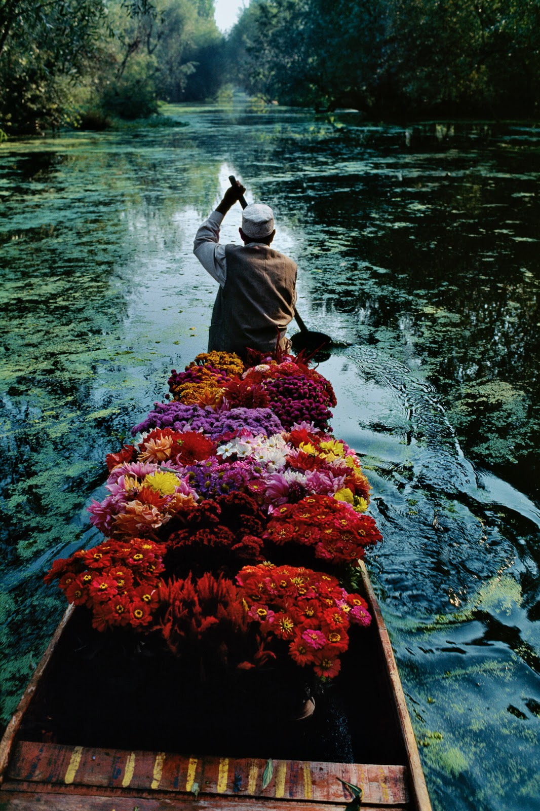 Kashmir, 1996, flowers, boat