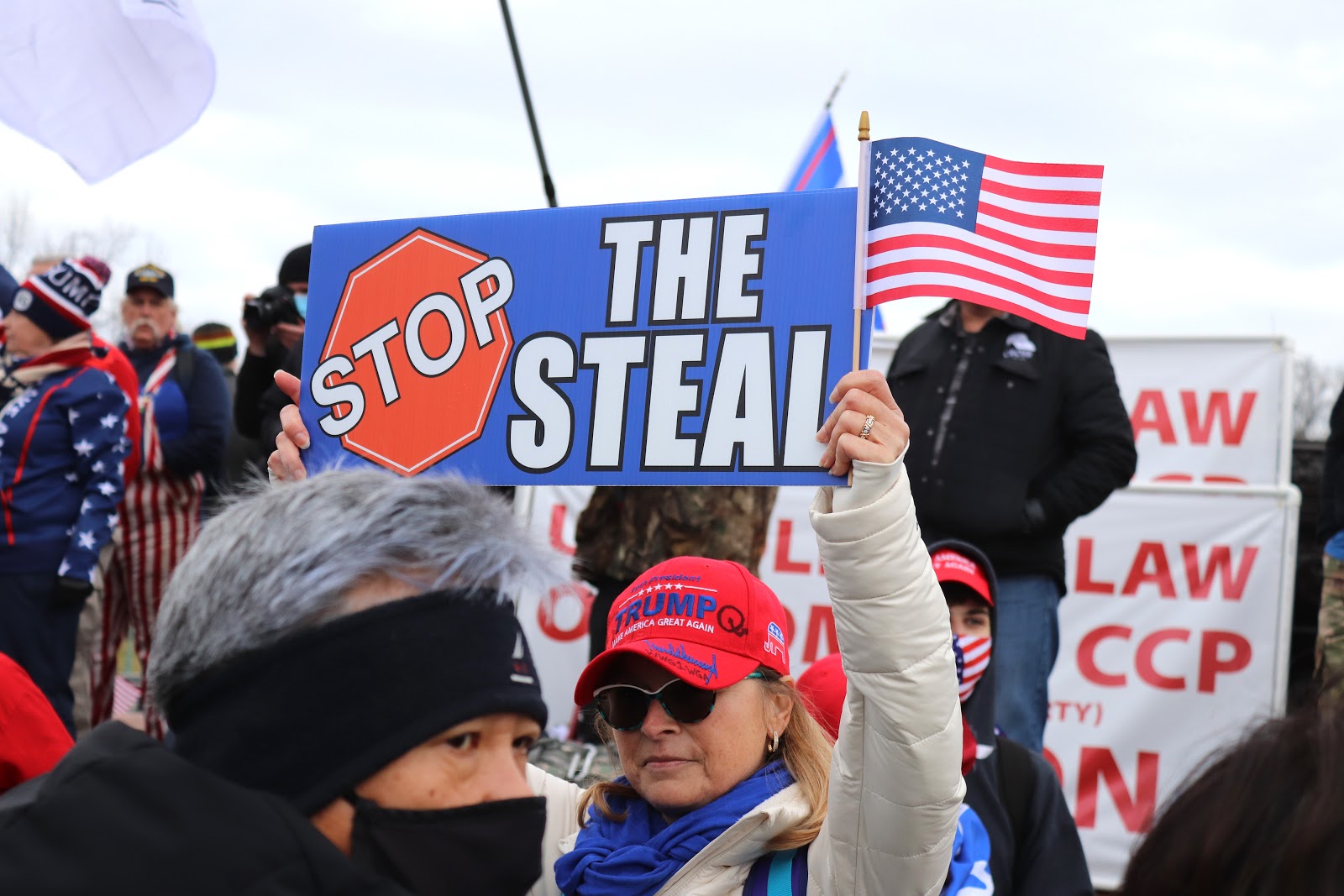 Stop the Steal, Capitol, protesters 