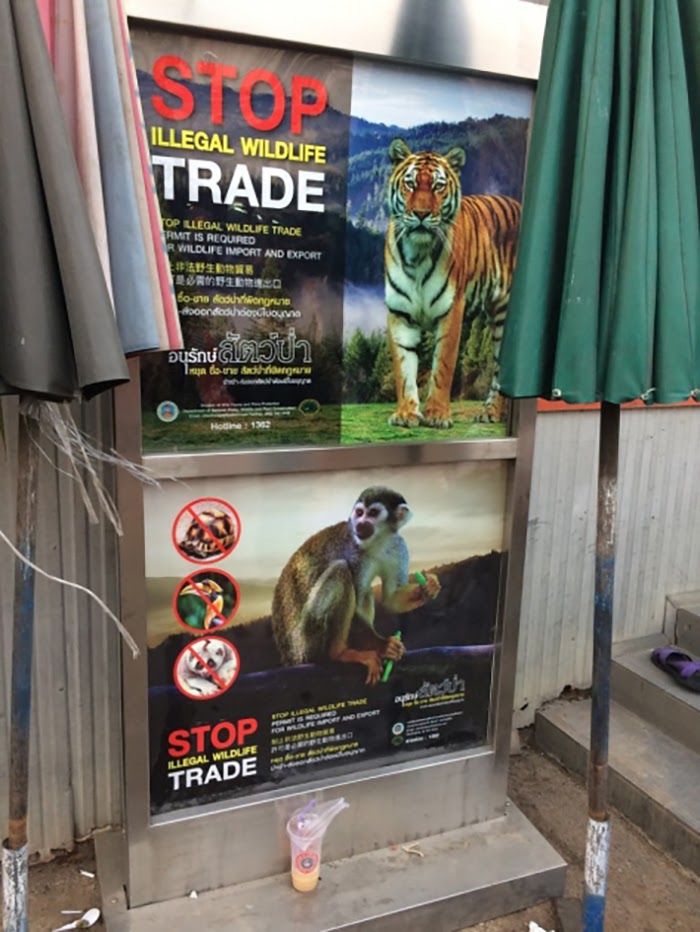 Wildlife trade, poster