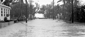 Key West street flooding