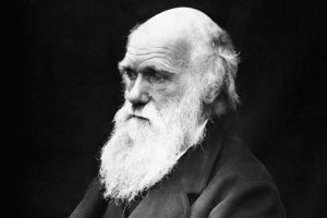 Today is Evolution Day, commemorating the anniversary of the initial publication of On the Origin of Species by Charles Darwin on November 24, 1859. About this photo: Charles Darwin. Photo credit: J. Cameron / Wikimedia