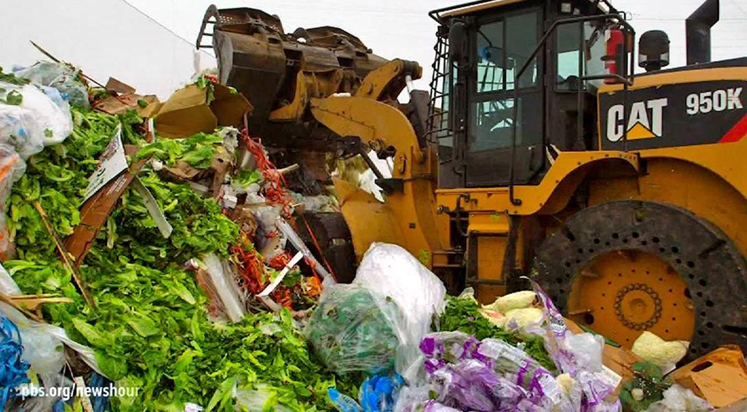 Food waste in landfill