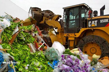 Food waste in landfill