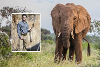 World Elephant Day, Donald Trump Jr.