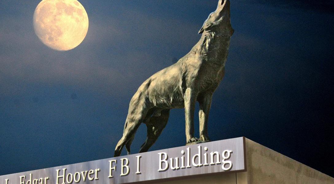FBI, Lone Wolf