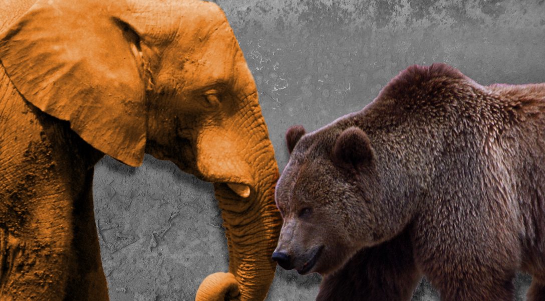 Republican Elephant, Russian Bear