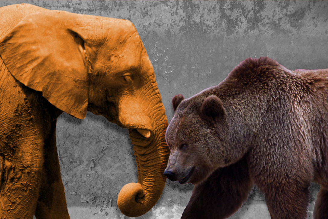 Republican Elephant, Russian Bear