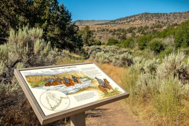 Malheur National Wildlife Refuge