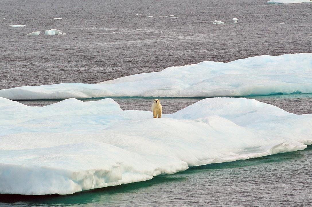 Arctic_1088x725.jpg