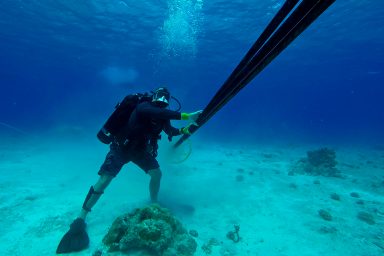 diver, undersea cables