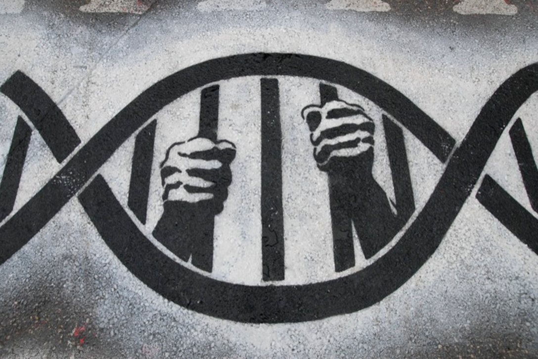DNA, Rapid DNA