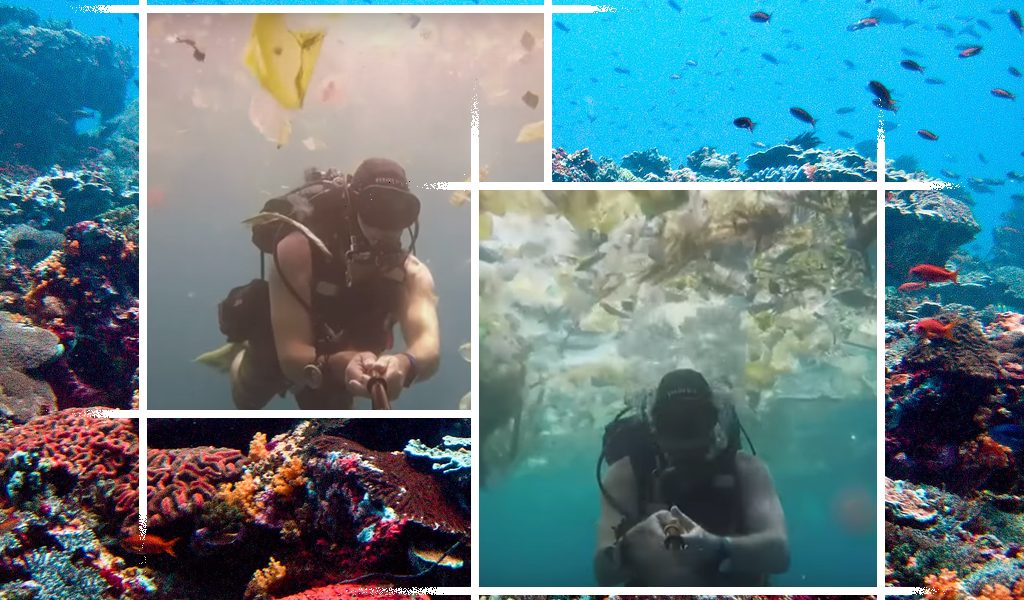 Bali, coral reef, plastic, pollution