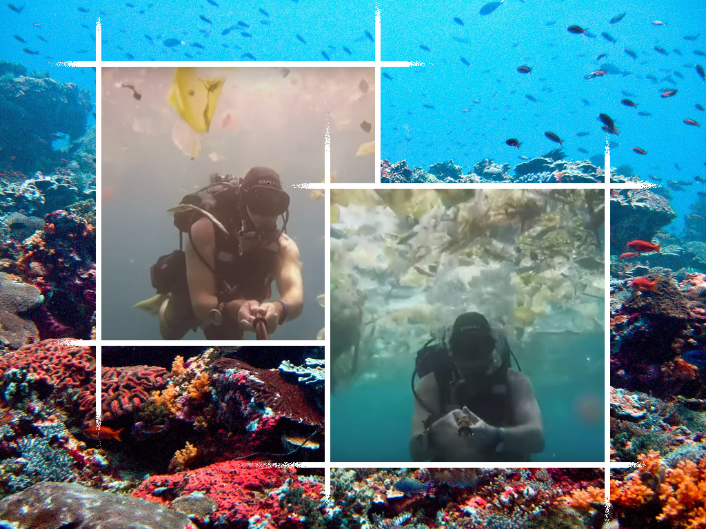 Bali, coral reef, plastic, pollution