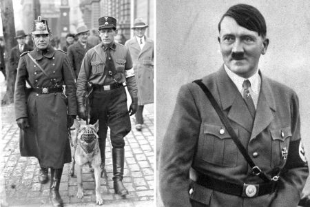 National Socialist auxiliary police, Adolf Hitler, 1933