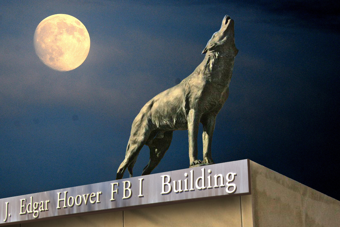 FBI, lone wolf