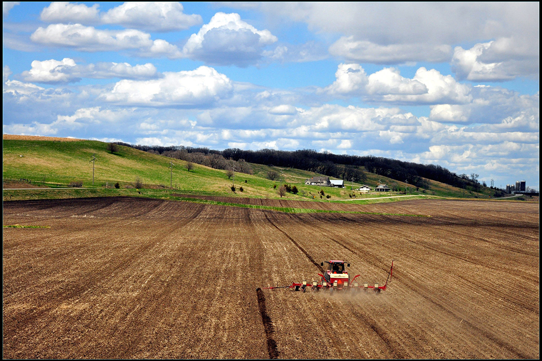 Iowa, soybean field