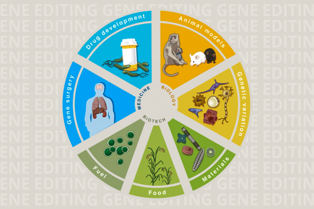 Applications of Genome Engineering