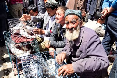 Uighurs, China, Muslims