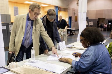 voter, electoral roll