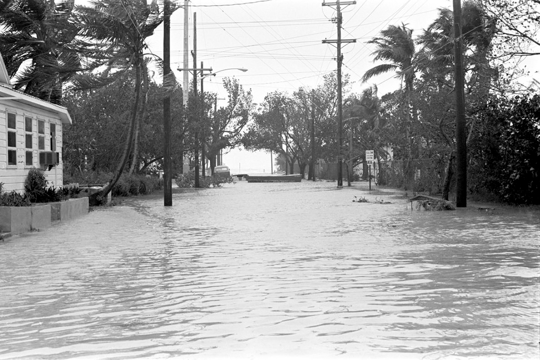 Key West street flooding