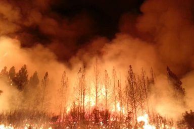 California, wildfires