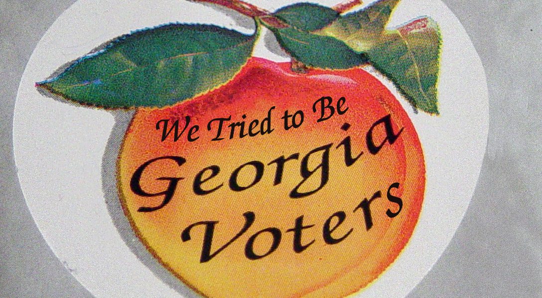 Georgia voters