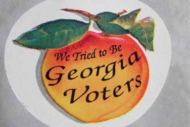 Georgia voters