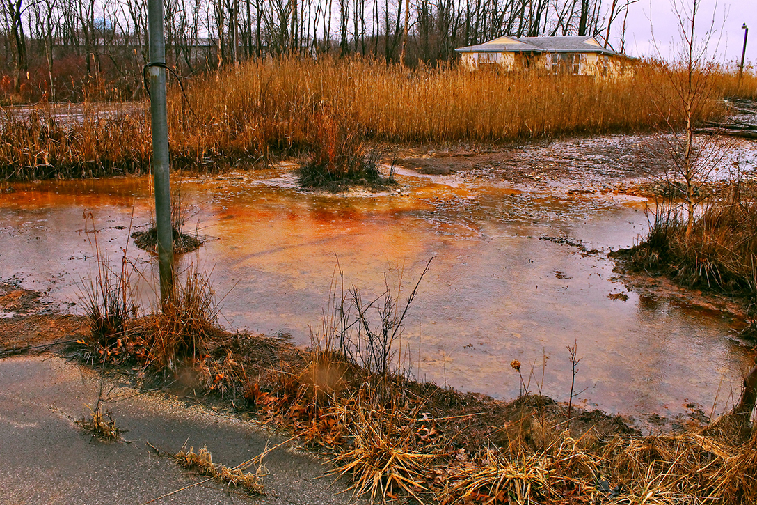 polluted water