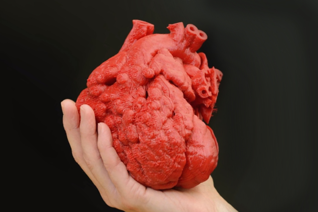 3D Printers Make Practice Hearts For Surgeons - WhoWhatWhy