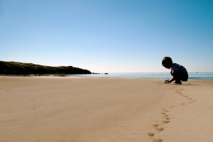 Generation Z, CO2, Climate Change
