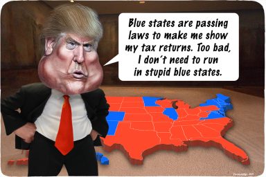 Donald Trump, taxes, states