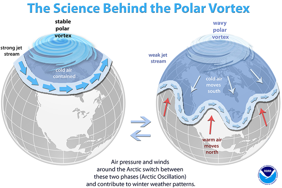 Polar Vortex