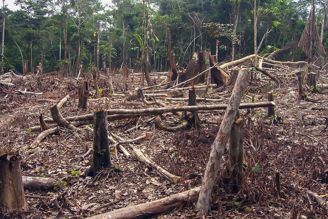 Amazon Deforestation