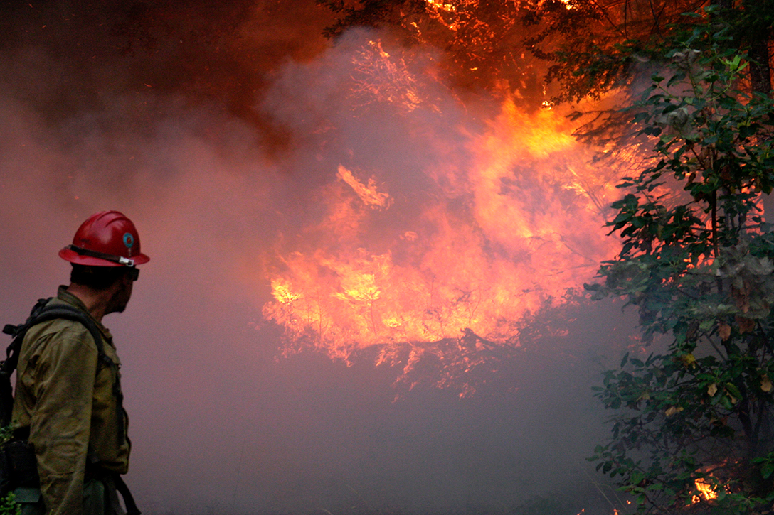 firefighter, hotshot, crew