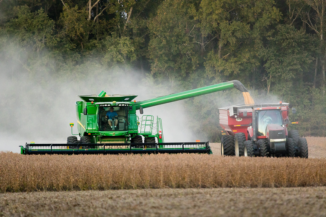 Soybean Harvest