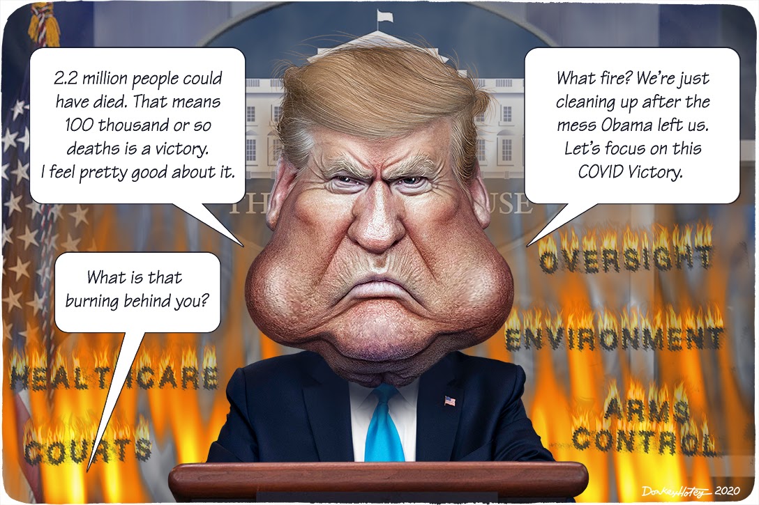 Donald Trump, COVID-19, administrative state