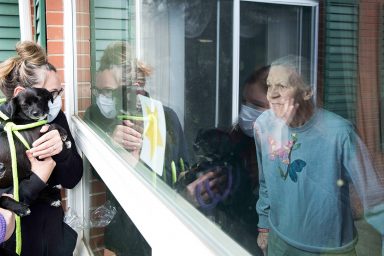 Nursing home, animal, visits