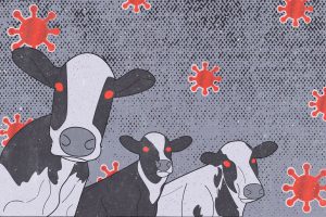 Factory Farming, Intensive Farming, global warming, climate change, climate crisis, cows, environment, mad cow disease, pandemic, covid, covid-19
