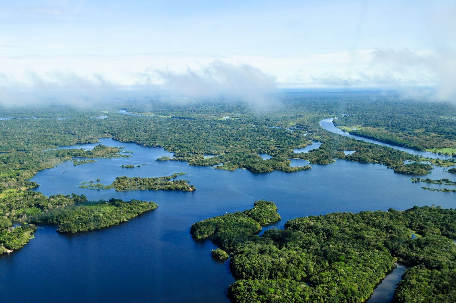 Aerial view, Amazon Rainforest, Brazil