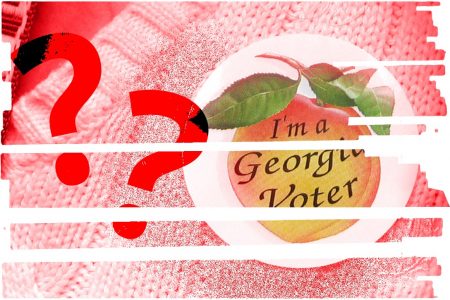 Georgia, voter