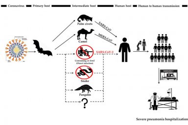 interspecies transmission routes, SARS-CoV, MERS-CoV